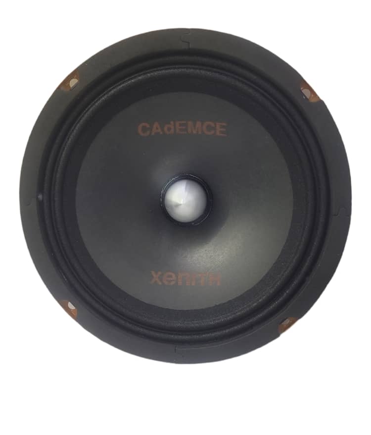 Midrange 8 inch Zenit model, Codems brand, 250 RMS