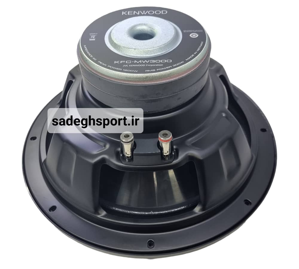 Subwoofer car MasterAudio model TS-SW1214